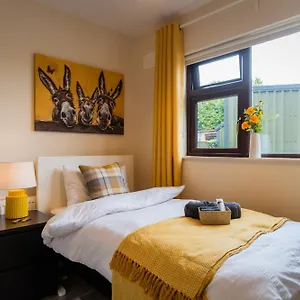 Homestay Suburban Haven, Dublin